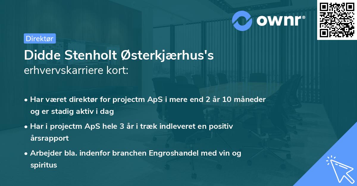 Didde Stenholt Østerkjærhus's erhvervskarriere kort
