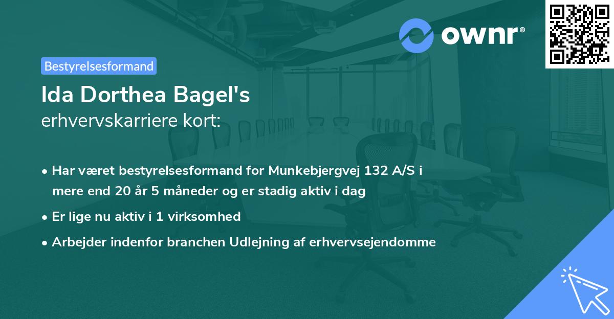 Ida Dorthea Bagel's erhvervskarriere kort