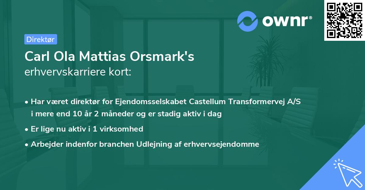 Carl Ola Mattias Orsmark's erhvervskarriere kort