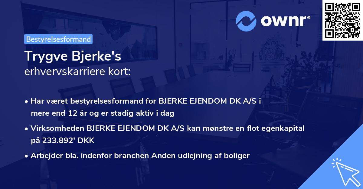 Trygve Bjerke's erhvervskarriere kort