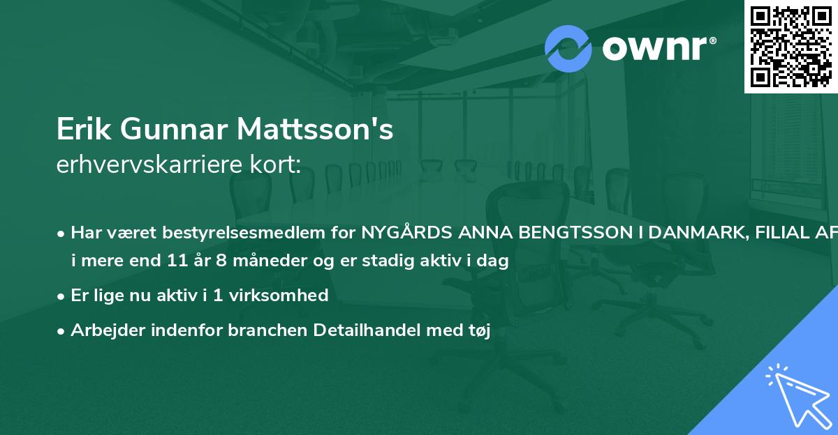 Erik Gunnar Mattsson's erhvervskarriere kort
