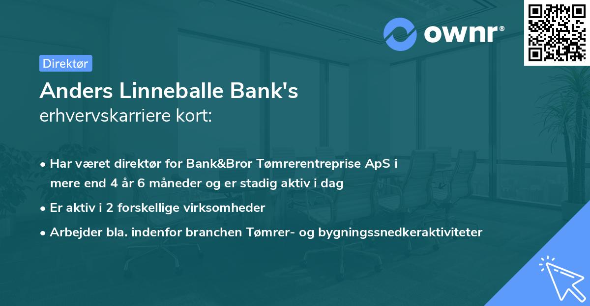 Anders Linneballe Bank's erhvervskarriere kort