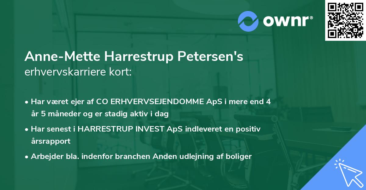 Anne-Mette Harrestrup Petersen's erhvervskarriere kort