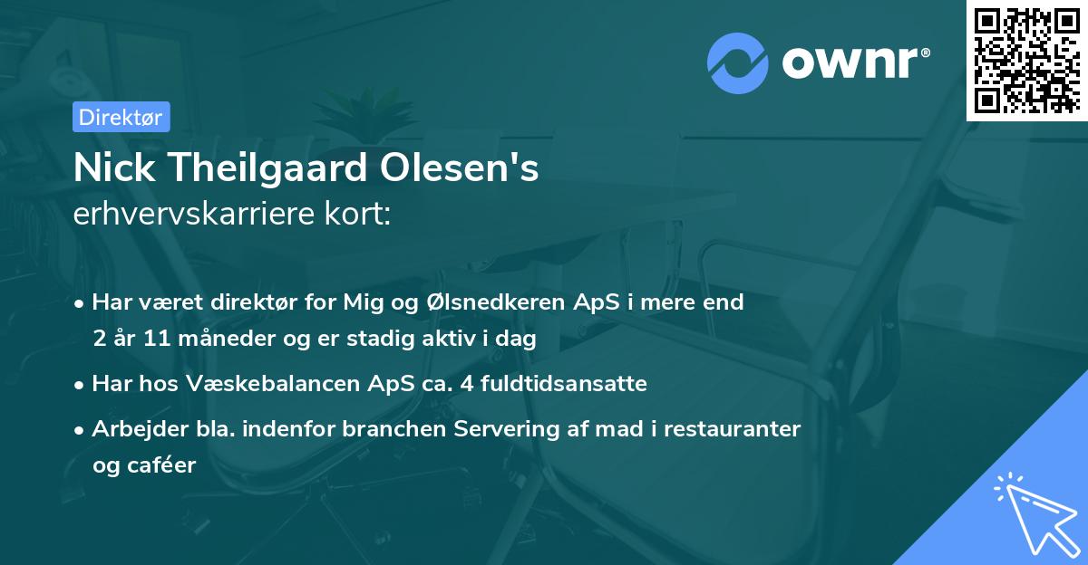 Nick Theilgaard Olesen's erhvervskarriere kort