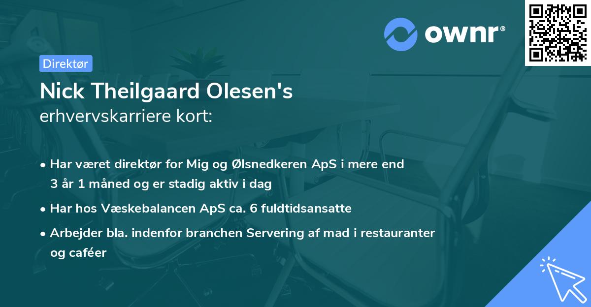 Nick Theilgaard Olesen's erhvervskarriere kort