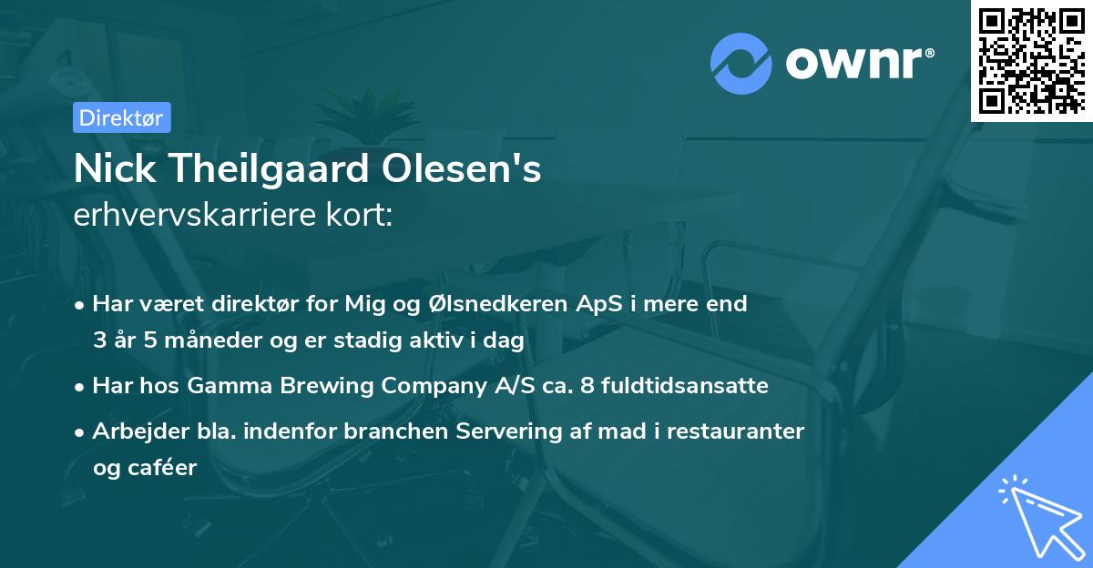 Nick Theilgaard Olesen's erhvervskarriere kort