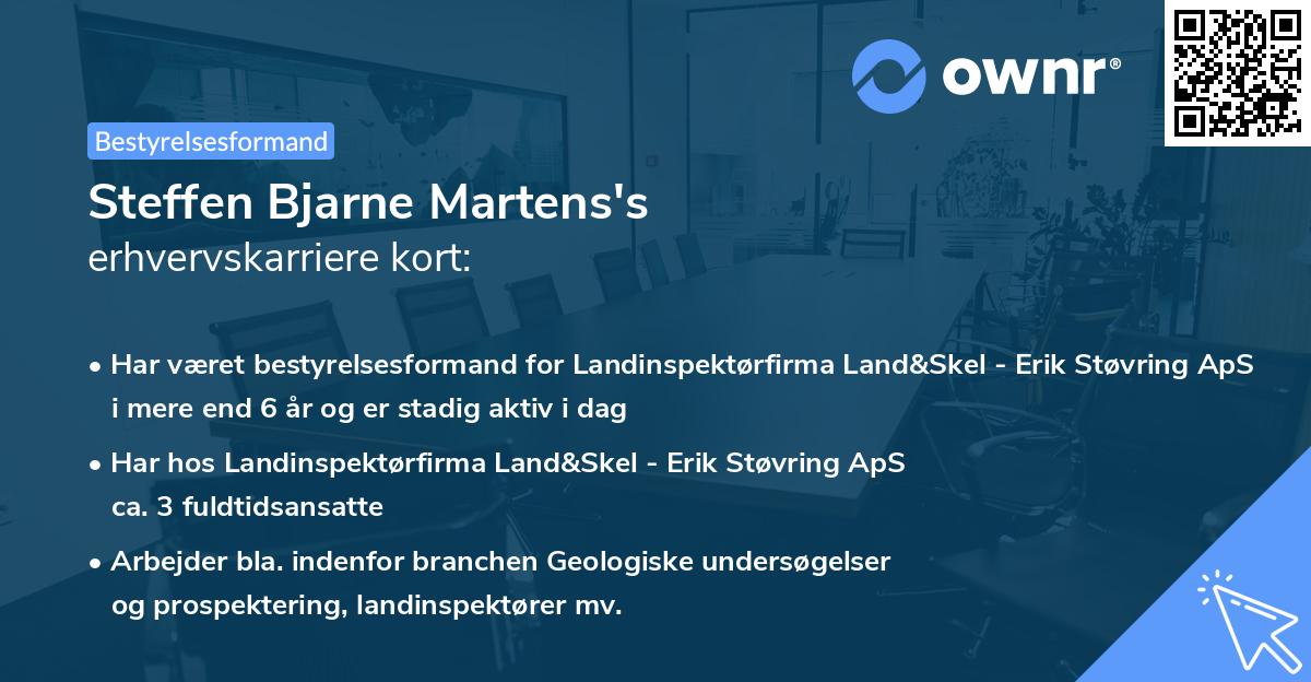 Steffen Bjarne Martens's erhvervskarriere kort