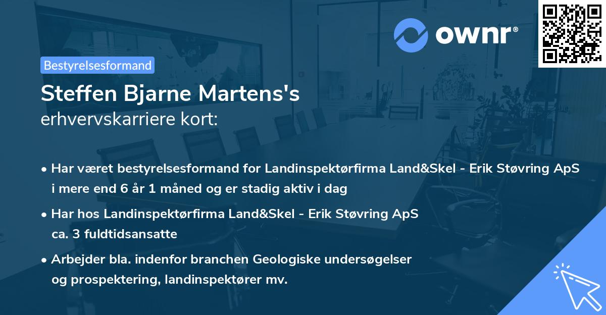 Steffen Bjarne Martens's erhvervskarriere kort