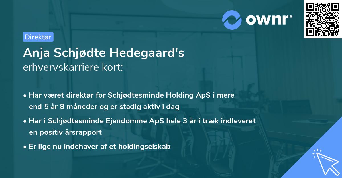 Anja Schjødte Hedegaard's erhvervskarriere kort