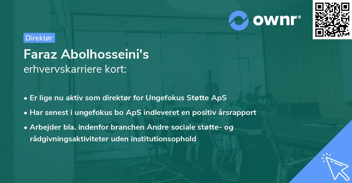 Faraz Abolhosseini's erhvervskarriere kort