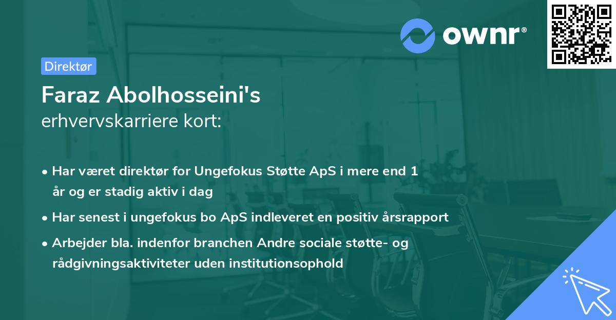 Faraz Abolhosseini's erhvervskarriere kort