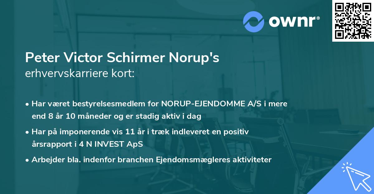Peter Victor Schirmer Norup's erhvervskarriere kort