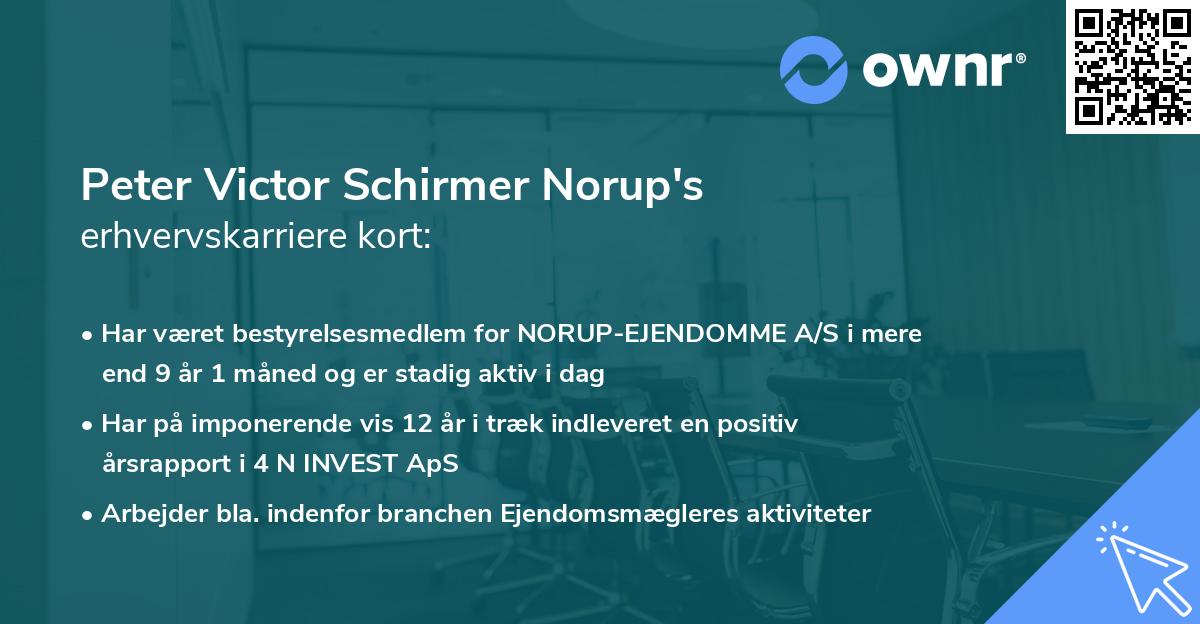 Peter Victor Schirmer Norup's erhvervskarriere kort