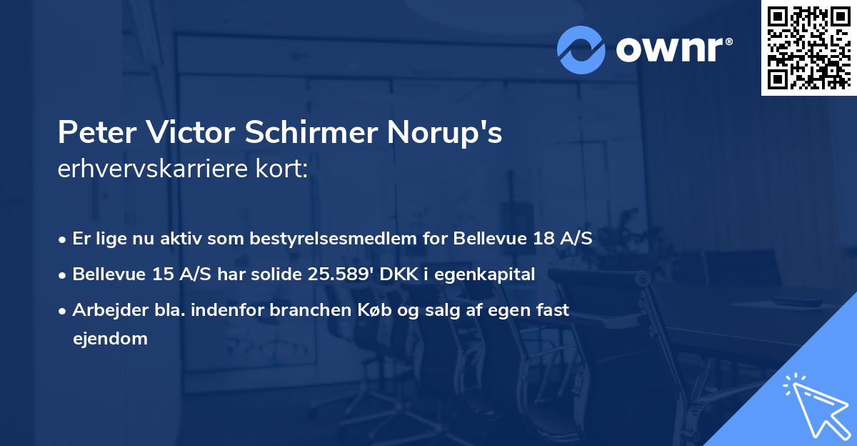 Peter Victor Schirmer Norup's erhvervskarriere kort