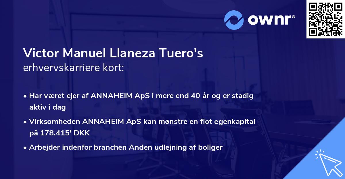 Victor Manuel Llaneza Tuero's erhvervskarriere kort