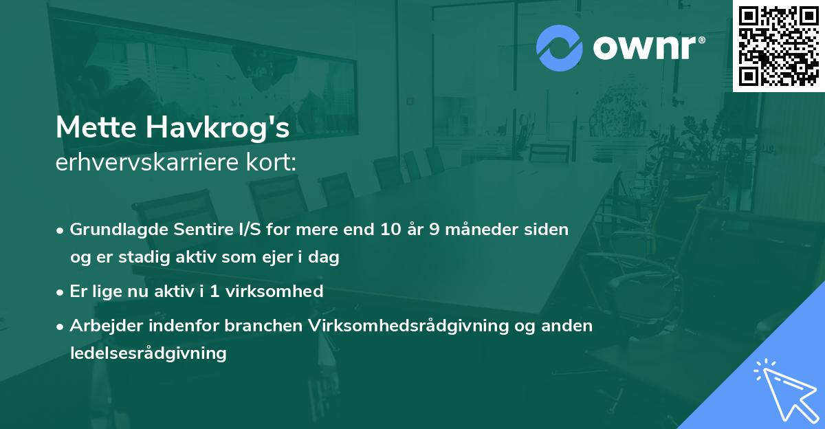 Mette Havkrog's erhvervskarriere kort