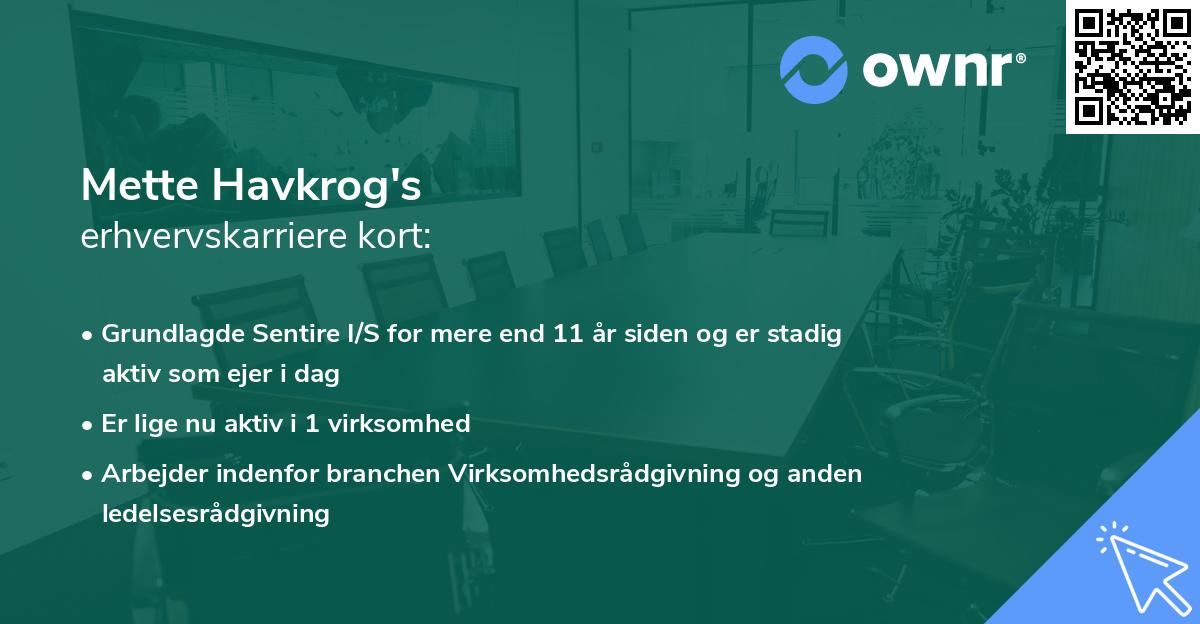Mette Havkrog's erhvervskarriere kort