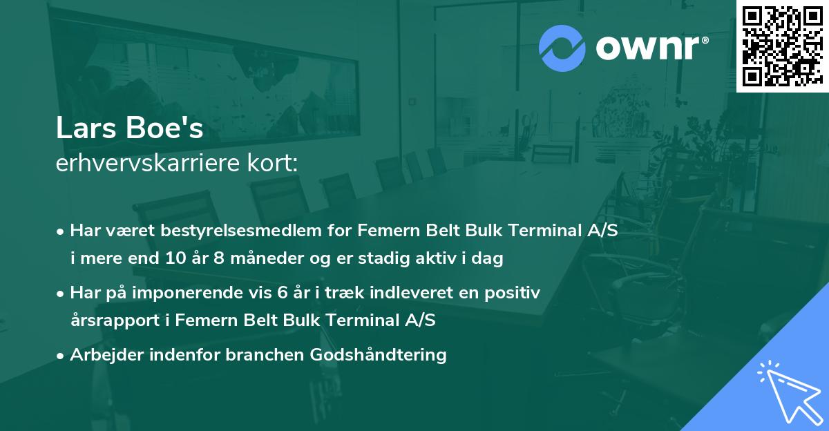 Lars Boe's erhvervskarriere kort