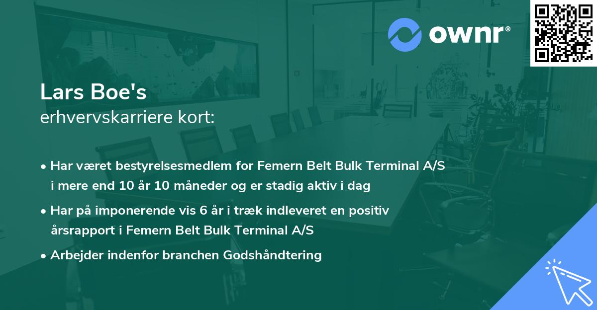 Lars Boe's erhvervskarriere kort