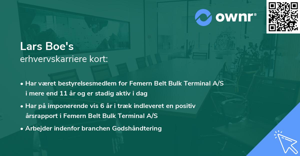 Lars Boe's erhvervskarriere kort