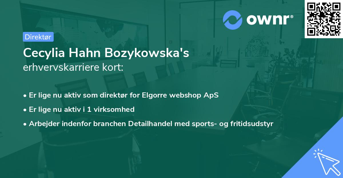 Cecylia Hahn Bozykowska's erhvervskarriere kort