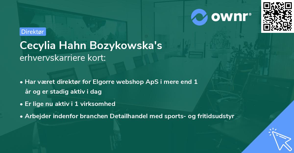 Cecylia Hahn Bozykowska's erhvervskarriere kort