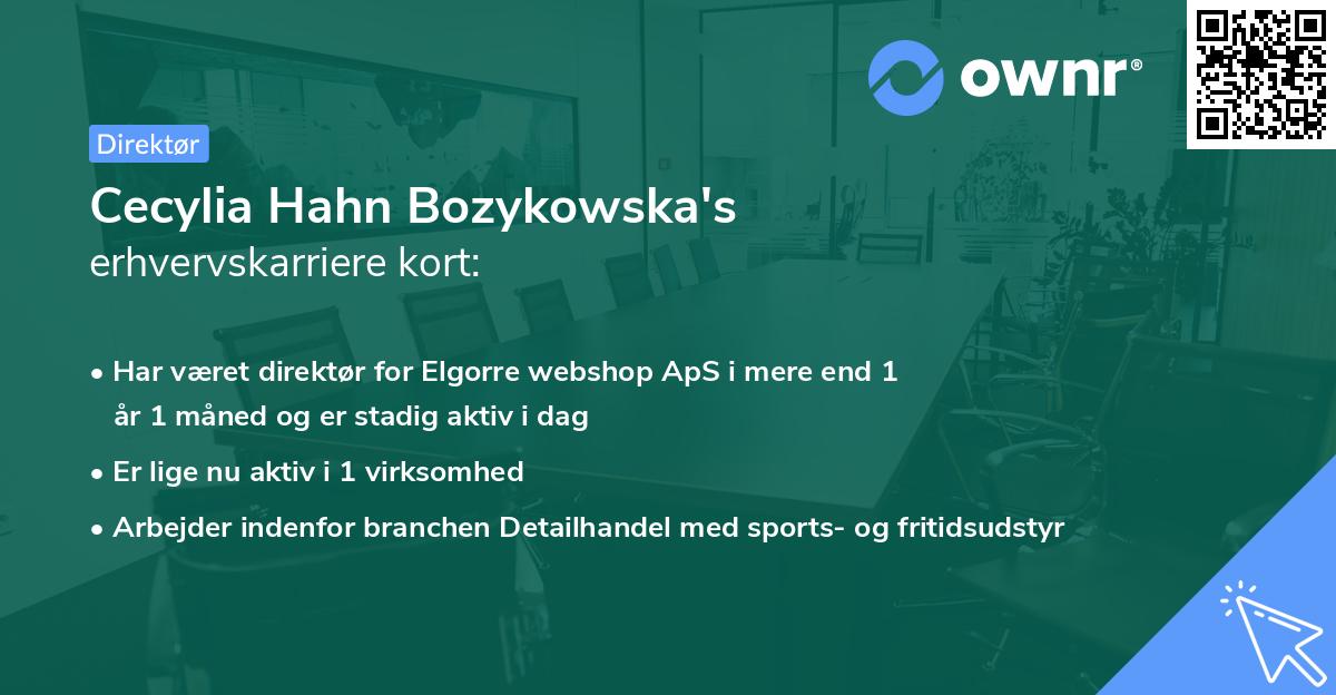 Cecylia Hahn Bozykowska's erhvervskarriere kort
