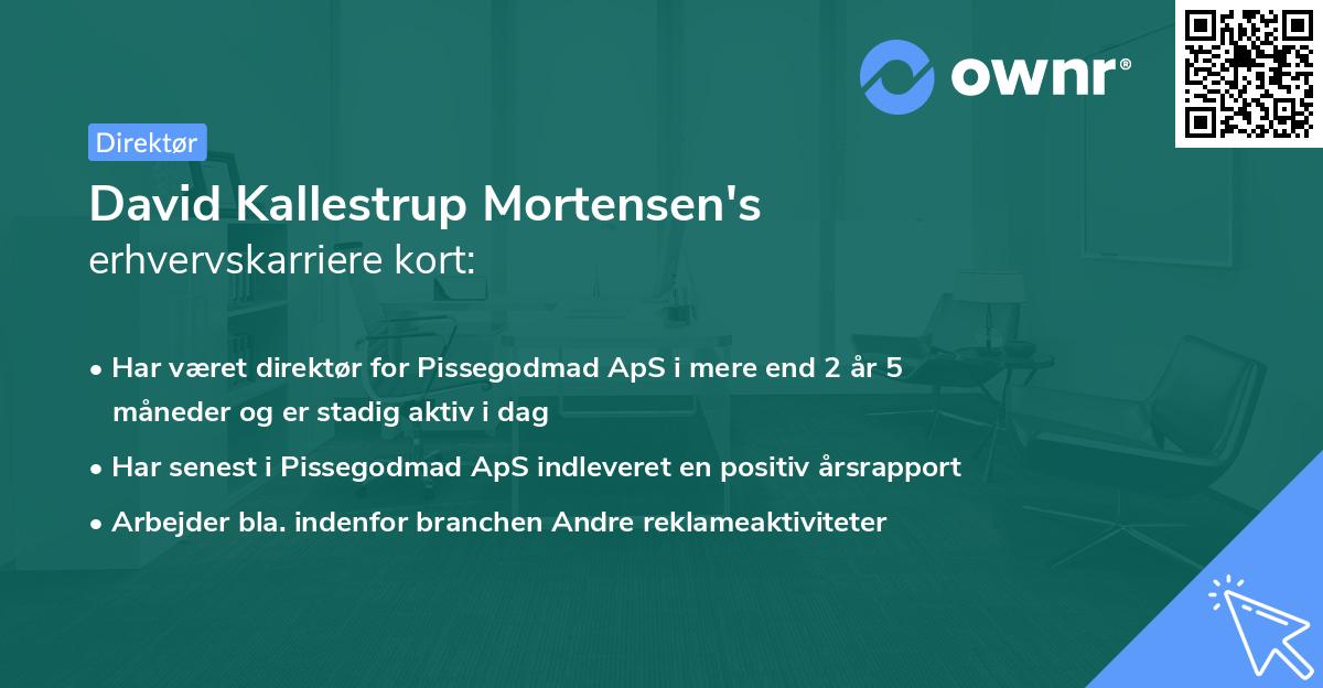 David Kallestrup Mortensen's erhvervskarriere kort