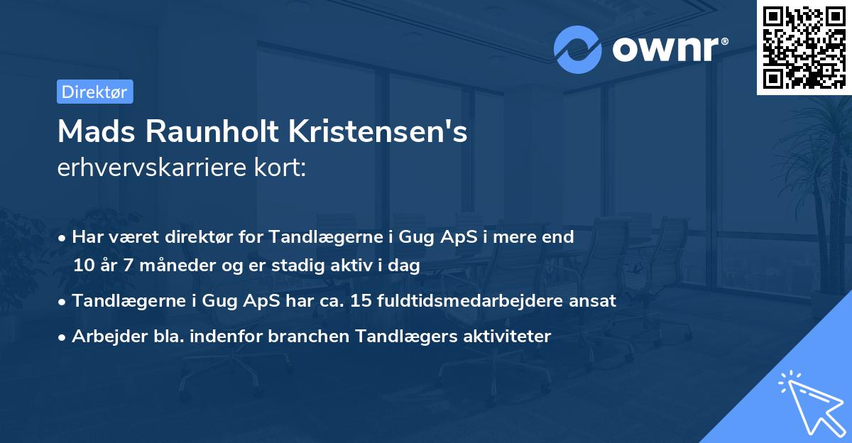 Mads Raunholt Kristensen's erhvervskarriere kort