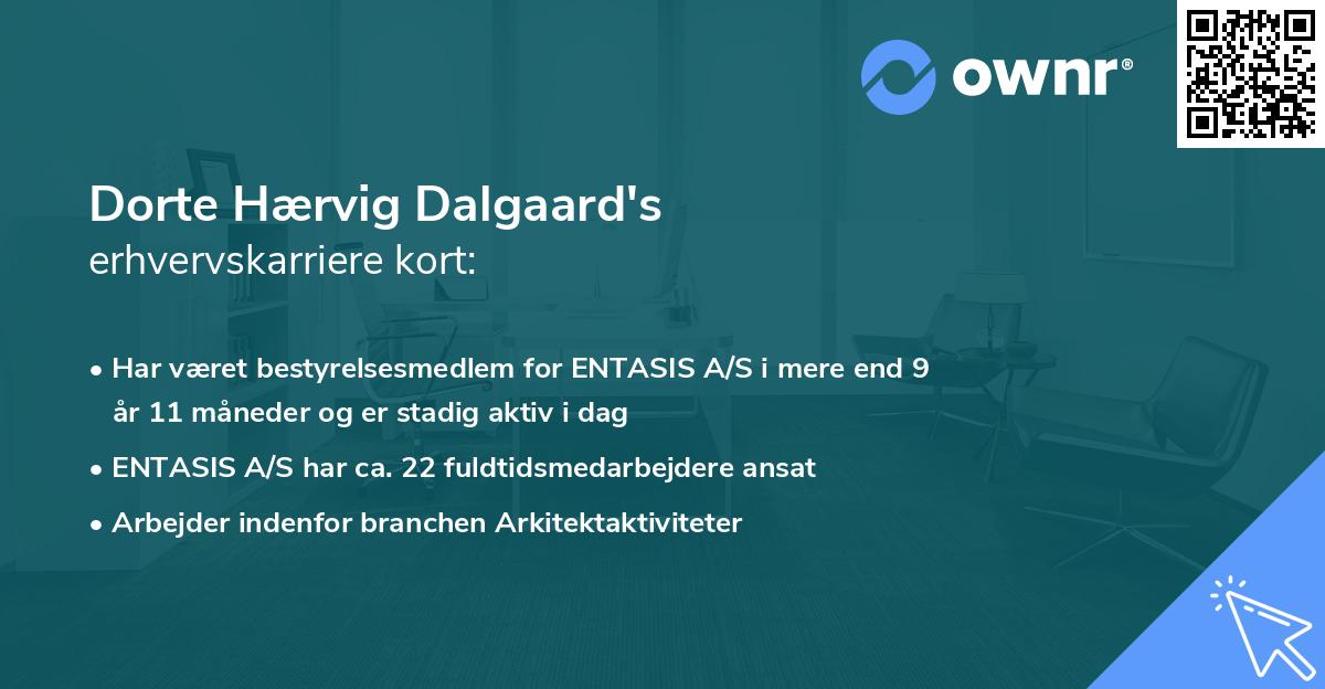 Dorte Hærvig Dalgaard's erhvervskarriere kort