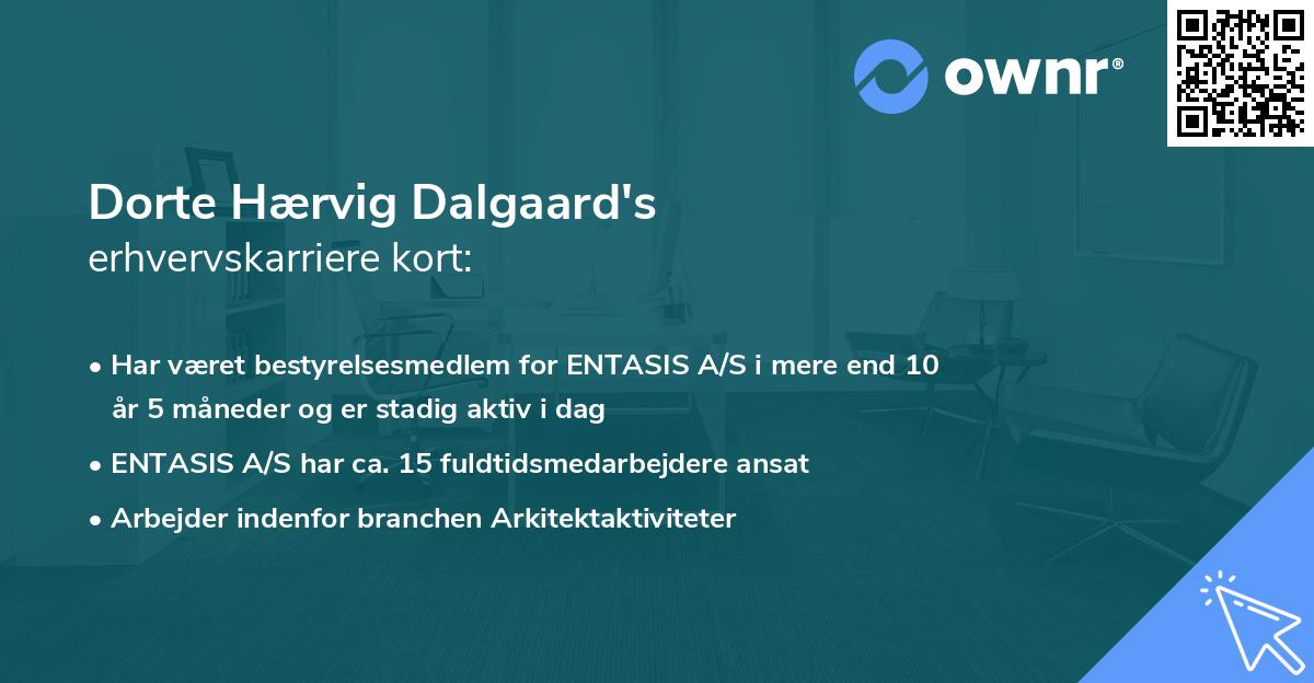 Dorte Hærvig Dalgaard's erhvervskarriere kort