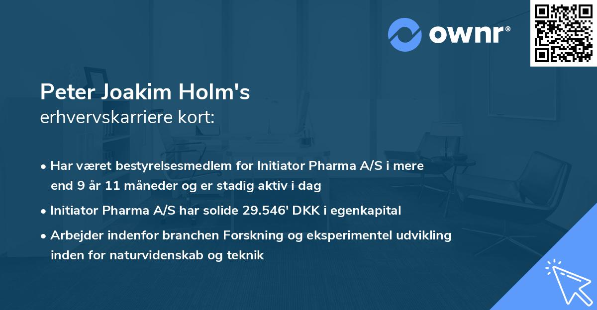 Peter Joakim Holm's erhvervskarriere kort