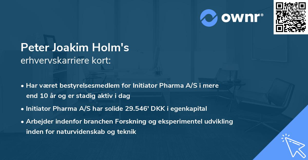 Peter Joakim Holm's erhvervskarriere kort