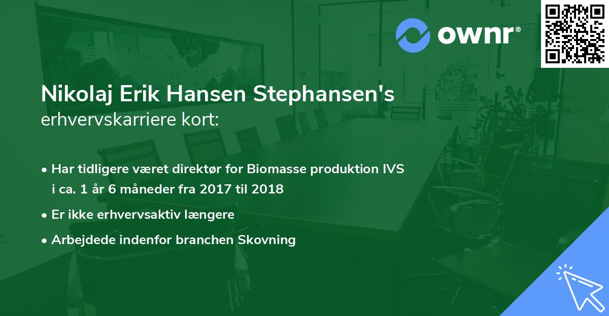 Nikolaj Erik Hansen Stephansen's erhvervskarriere kort