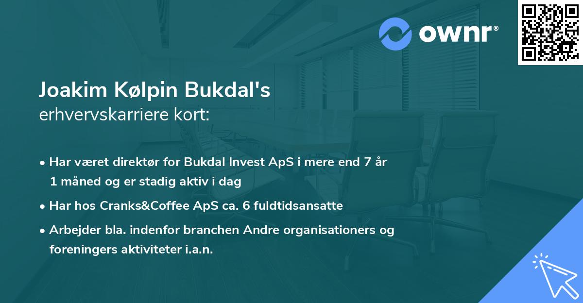 Joakim Kølpin Bukdal's erhvervskarriere kort