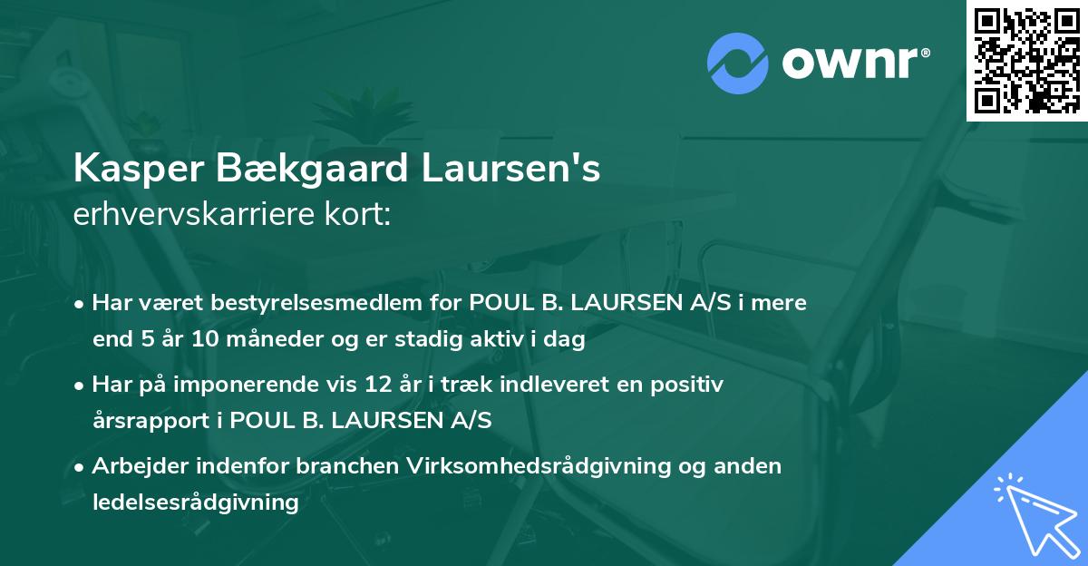 Kasper Bækgaard Laursen's erhvervskarriere kort