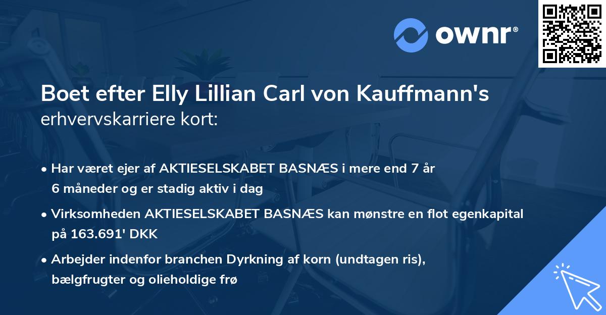 Boet efter Elly Lillian Carl von Kauffmann's erhvervskarriere kort