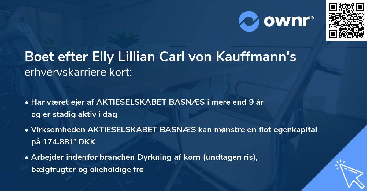Boet efter Elly Lillian Carl von Kauffmann's erhvervskarriere kort