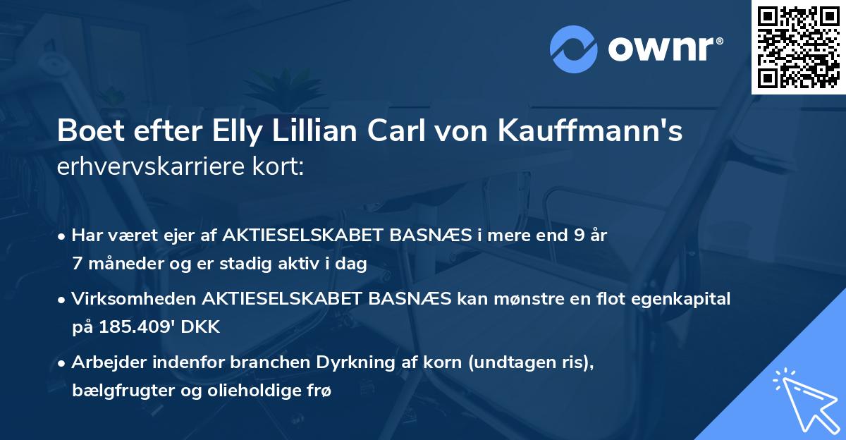 Boet efter Elly Lillian Carl von Kauffmann's erhvervskarriere kort