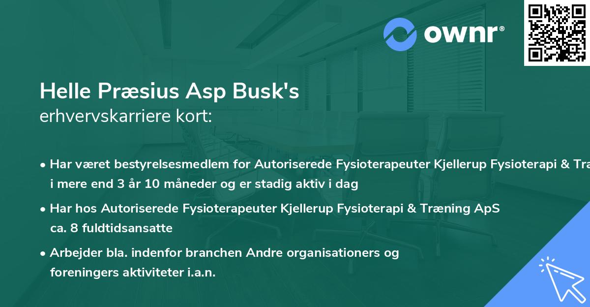 Helle Præsius Asp Busk's erhvervskarriere kort