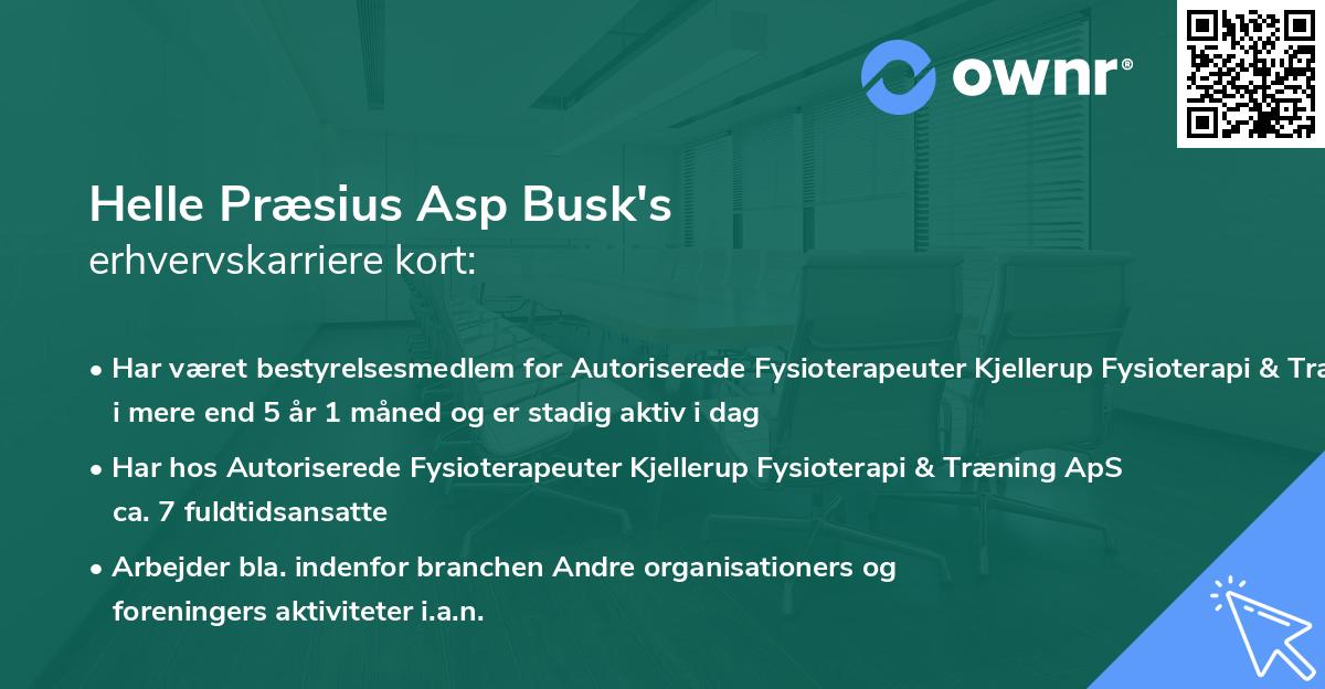Helle Præsius Asp Busk's erhvervskarriere kort