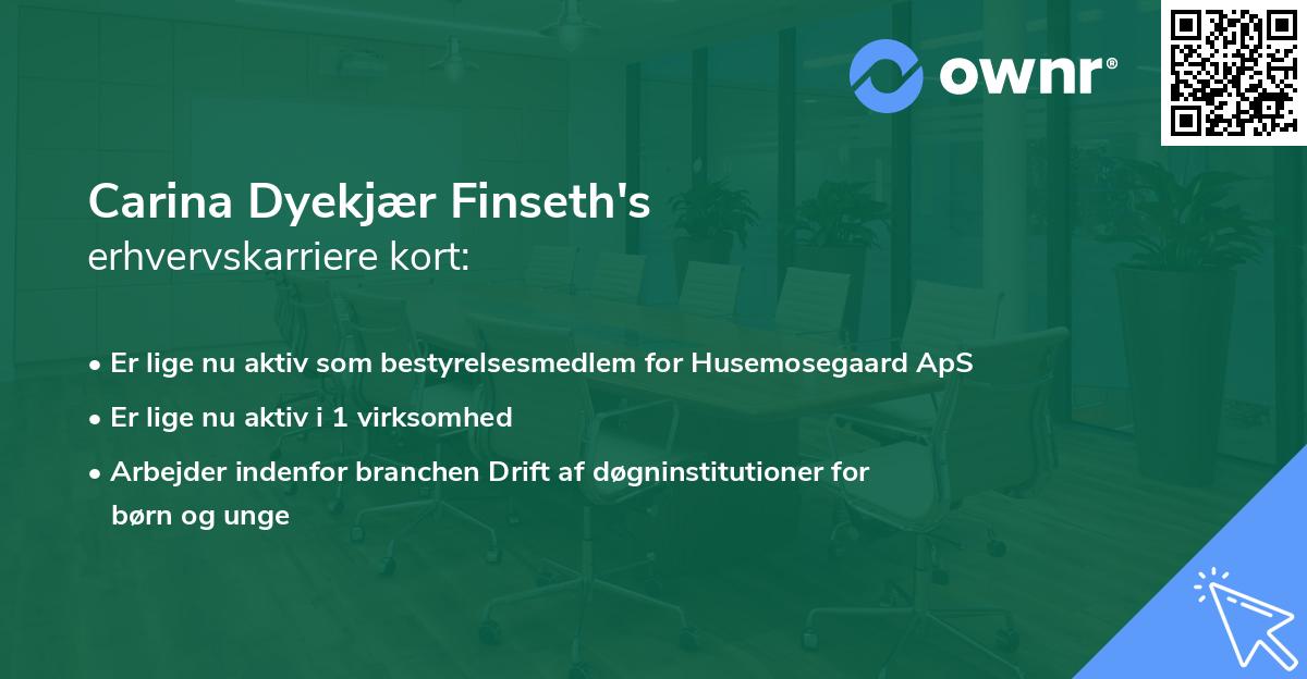 Carina Dyekjær Finseth's erhvervskarriere kort