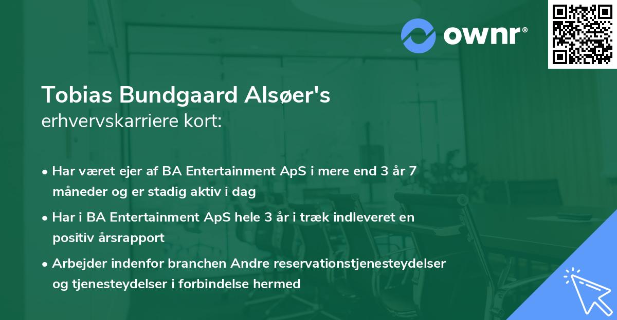 Tobias Bundgaard Alsøer's erhvervskarriere kort