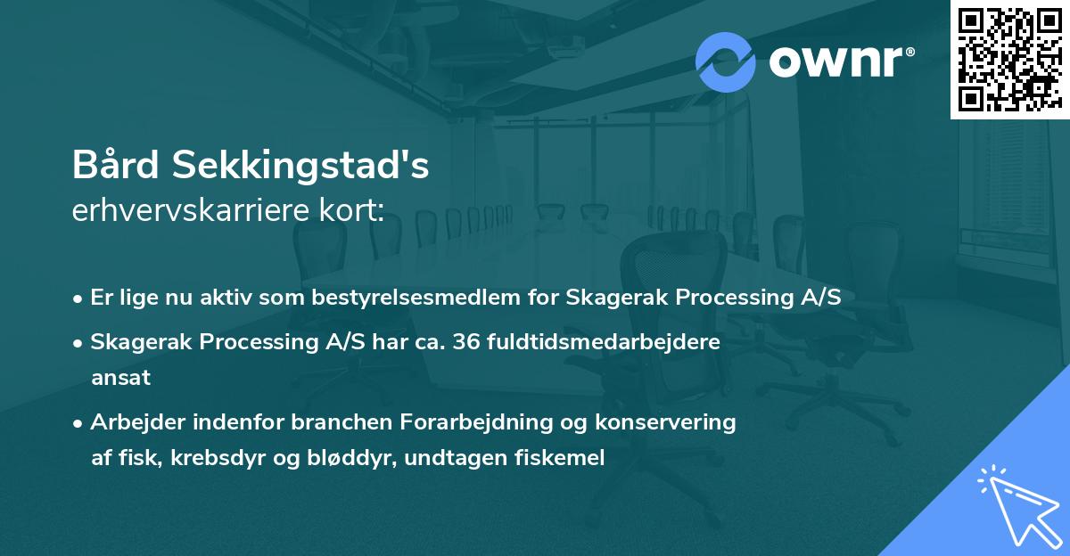 Bård Sekkingstad's erhvervskarriere kort