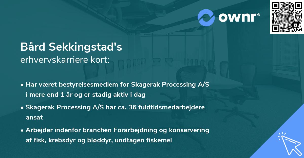 Bård Sekkingstad's erhvervskarriere kort