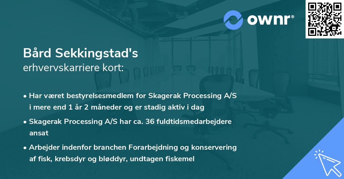 Bård Sekkingstad's erhvervskarriere kort