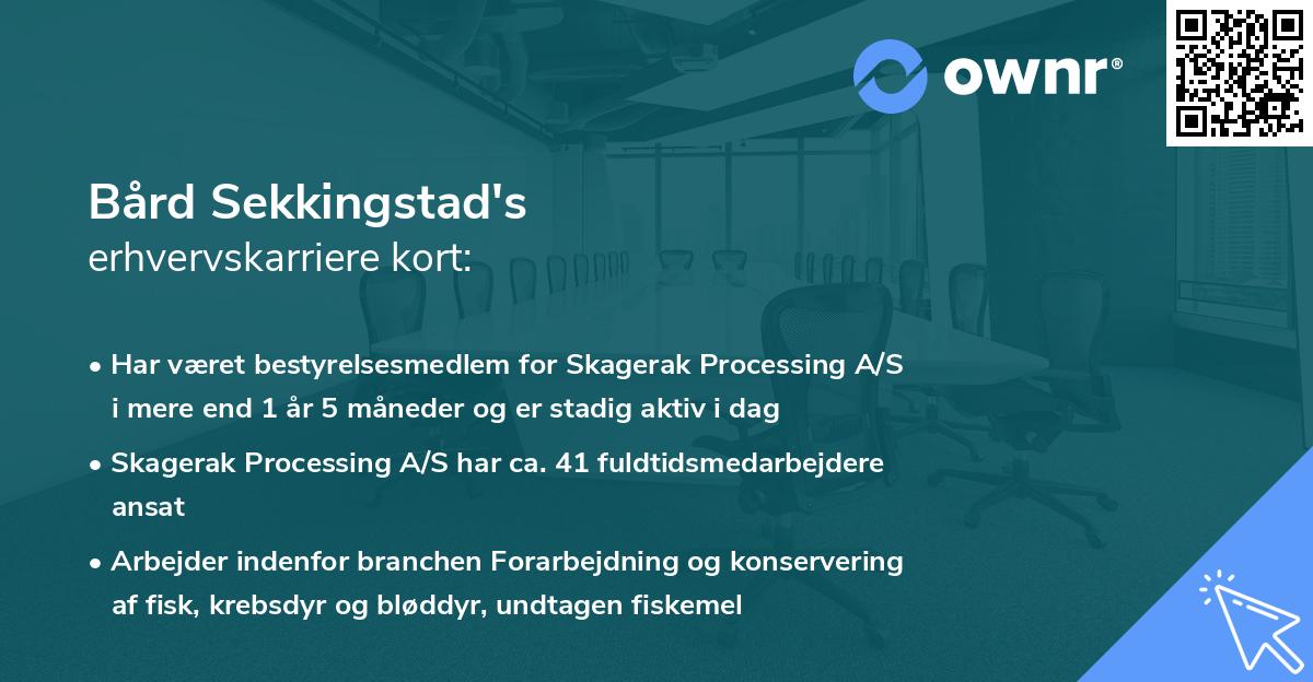 Bård Sekkingstad's erhvervskarriere kort
