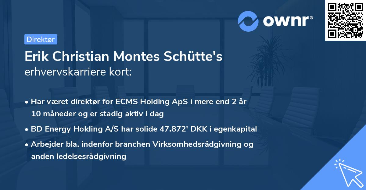 Erik Christian Montes Schütte's erhvervskarriere kort