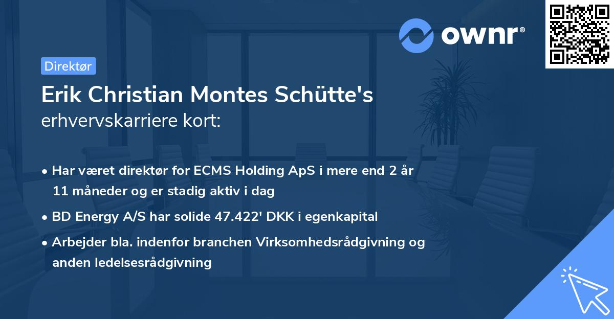 Erik Christian Montes Schütte's erhvervskarriere kort