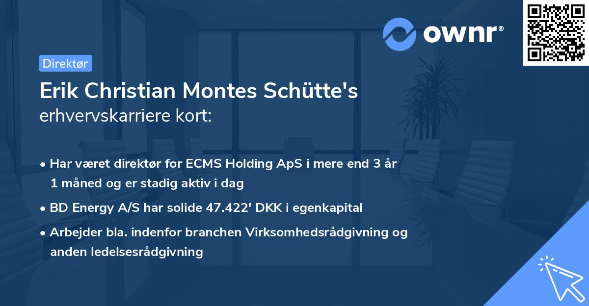 Erik Christian Montes Schütte's erhvervskarriere kort